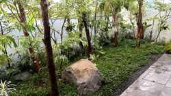 Phoenix Heights (D23), Semi-Detached #615879291